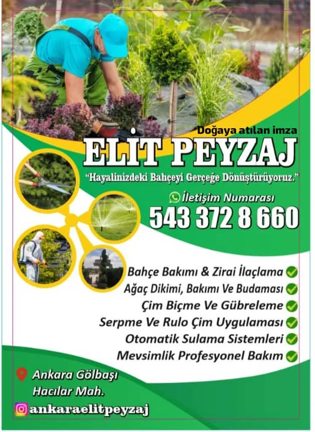 galeri_20260417_174607_9748fea3db5b6542594d