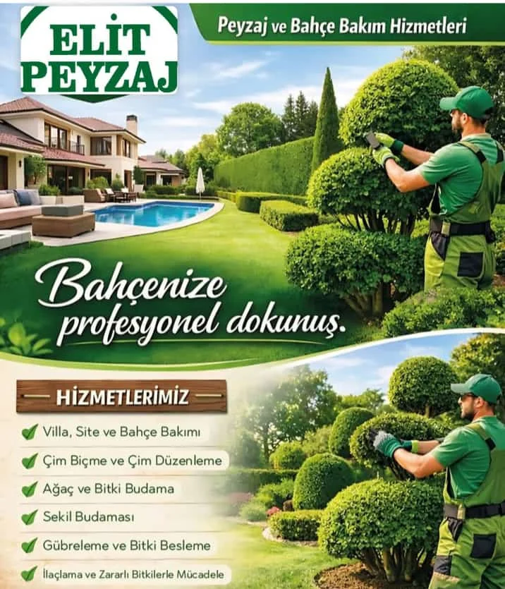 galeri_20260417_174627_7df62e6ec79109a5805a
