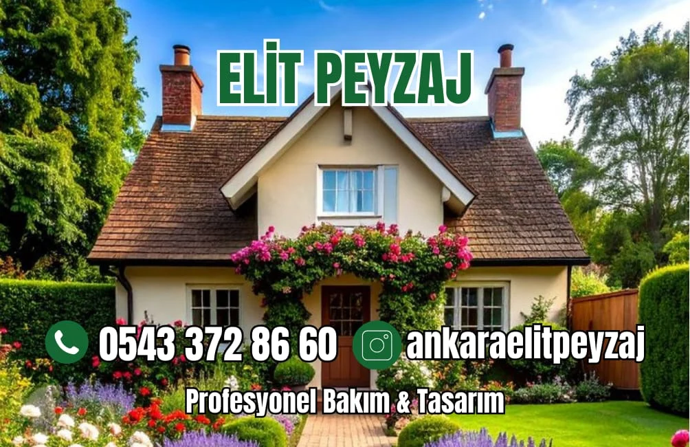 galeri_20260417_174628_f3ac85227f118878d4a9